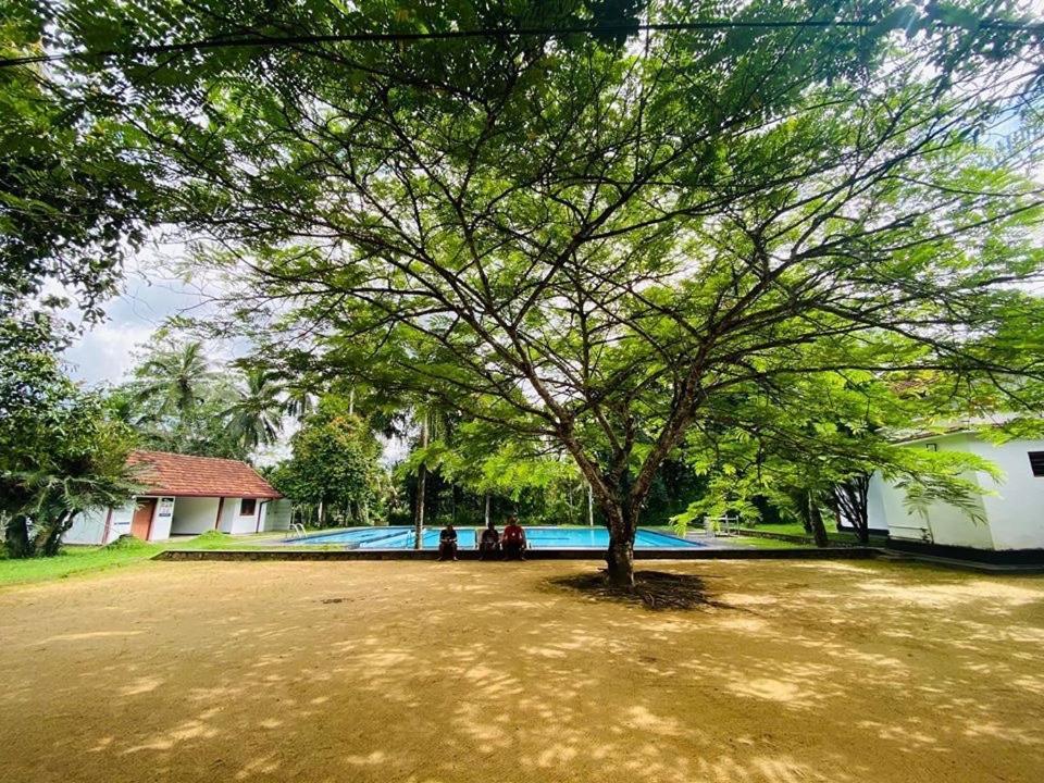 Randiyaepiliyagoda Resort Avissawella Εξωτερικό φωτογραφία